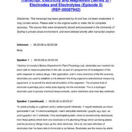 Electricity and Magnetism (Series 3) - Electrodes and Electrolytes (Episode 5) - Transcript