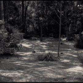 Crommelin Biological Research Station, Warrah, at Pearl Beach