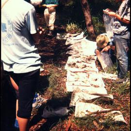 Peter McGee Searching Through Fungi