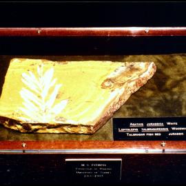 Michael Pitman's Farewell Gift