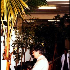 Botany Display at Open Day 1984
