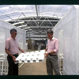 Plant Breeding Institute, Camden