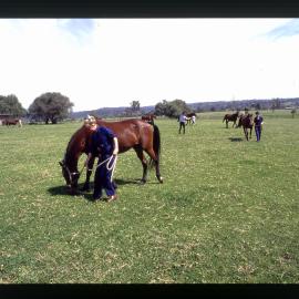 Agriculture Students in Horse Paddock, Camden