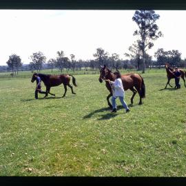 Agriculture Students in Horse Paddock, Camden