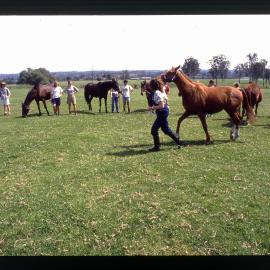 Agriculture Students in Horse Paddock, Camden