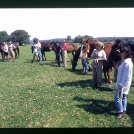 Agriculture Students in Horse Paddock, Camden