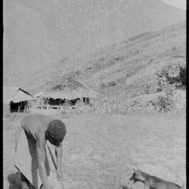 Man Opening Pandanus Nut