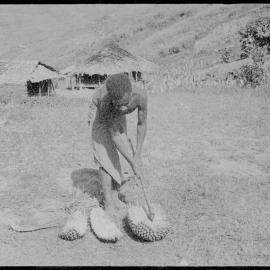 Man Opening Pandanus Nut