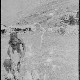 Man Opening Pandanus Nut