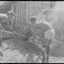 Group Preparing Pigs for a Ceremony