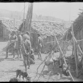 Group Preparing Pigs for a Ceremony
