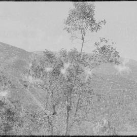 Mountains, Papua New Guinea