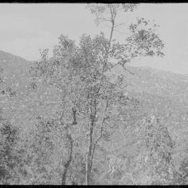 Mountains, Papua New Guinea