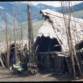 Buildings with Food Poles Outside