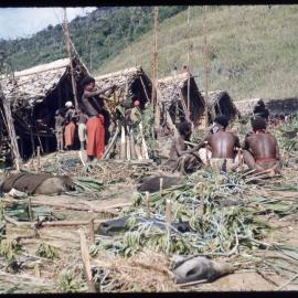 Men Sitting Among Slaughtered Pigs