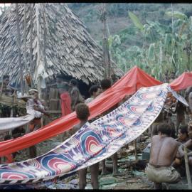 Group Suspending Cloth Through Village