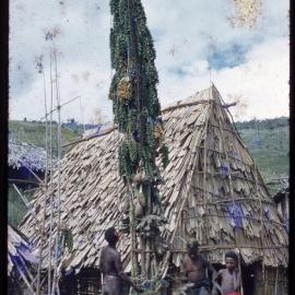 Fruits and Plants Hanging from a Food Pole