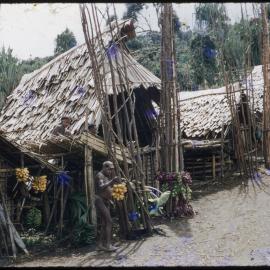 Buildings with Food Poles Outside