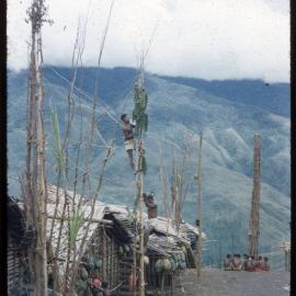 Men Climbing Food Poles