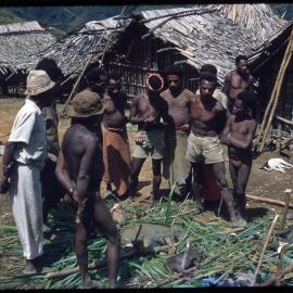 Men Gathered Around Butchered Pigs