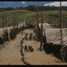 Group Distributing Food in Front of Buildings and Food Poles