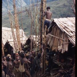 Group of Men Constructing Food Poles
