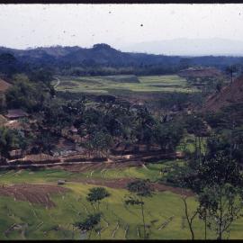 View Across Fields