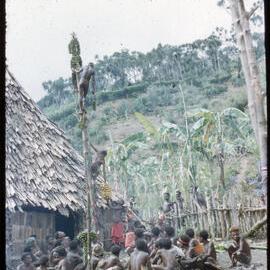Taking Down Food from Food Pole