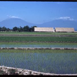 Fields with Mountains in Background