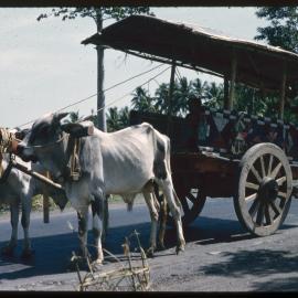 Cart Pulled by Oxen