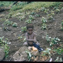 Child Sitting with Vegetables