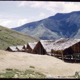 Village, Papua New Guinea