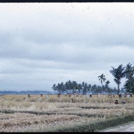 Group of People Gathered in a Field