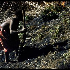 Woman Digging in Soil