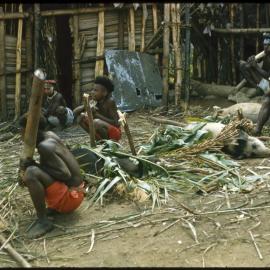 Men Preparing Pigs for Ceremony