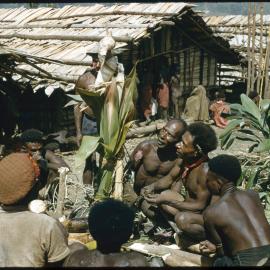 Men Gathered Around Plant