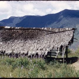 Building on Mountainside