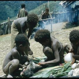 Children Playing with Slaughtered Pig
