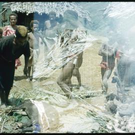 Group Preparing Pigs for Ceremony