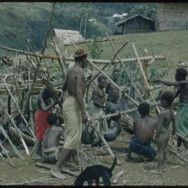 Group Preparing Pigs for Ceremony