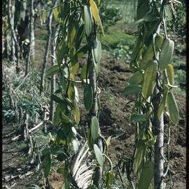 Group Standing in Mountainside Village