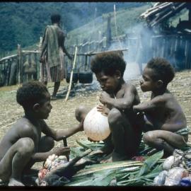 Children Playing with Slaughtered Pig