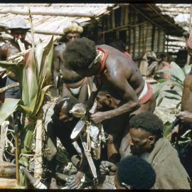 Group Gathered Around a Plant
