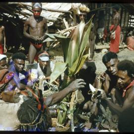 Group of Men Gathered Around Plant