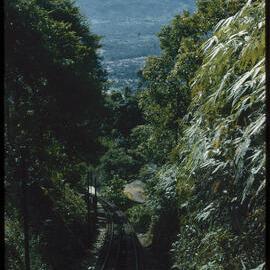 Mountainside Train Track