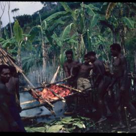 Men Preparing Pigs for Ceremony
