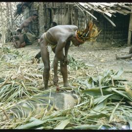 Man Preparing Pigs for Ceremony