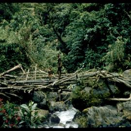 Man and Child Standing on Bridge