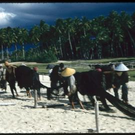 Taking Nets Out for Drying