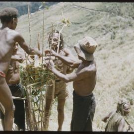 Men Building a Structure, Possibly a Food Pole